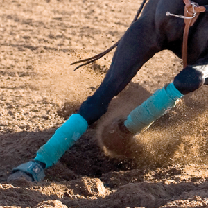 Classic Equine Polo Wraps Pintelit