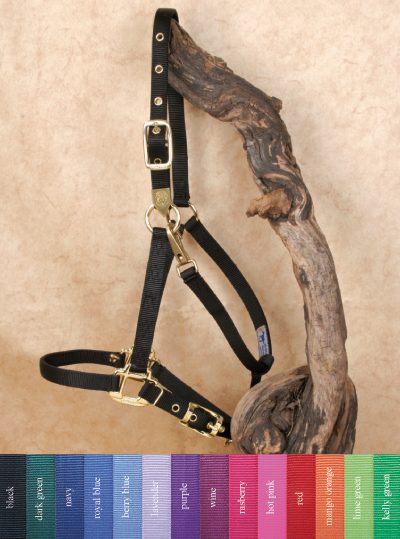 Hamilton Deluxe Arabian Halter Riimu