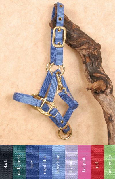 Hamilton Deluxe Pony/Foal Halter Riimu