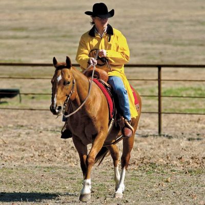 Saddle Slicker Yellow sadetakki