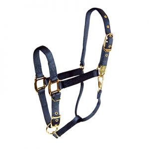 Hamilton Deluxe Pony/Foal Halter Riimu