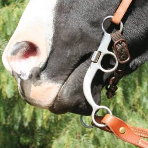 PC Bob Avila Shank Snaffle Bit kankikuolain