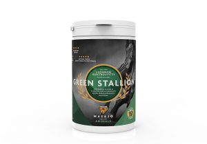 Green stallion Luonnon Elektrolyytti 700 g