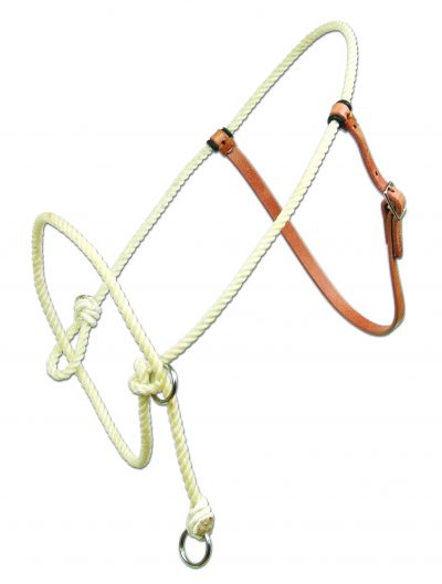 Koulutusriimu PC Training Halter
