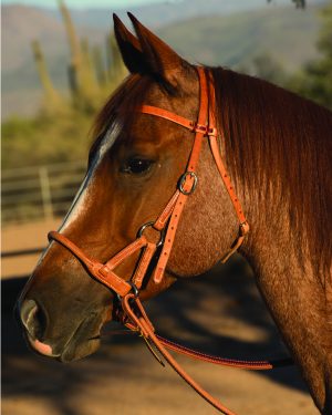 Sidepull Round Leather Nose PC Schutz