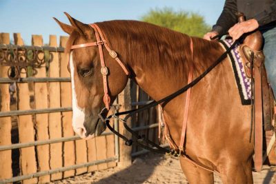 Draw Rope Martingale AD "The Black Rope"