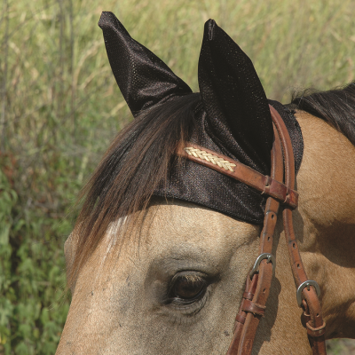 Cashel Comfort Ears korvasuoja