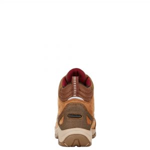 Ariat Women's Telluride II H2O, Palm Brown