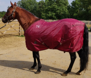 Cattleman's Stable Sheet talliloimi
