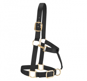 Riimu Weaver Original Adjustable Halter Draft Horse