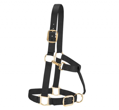 Riimu Weaver Original Adjustable Halter Draft Horse