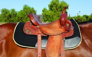 Professional's Choice Contoured Work Pad