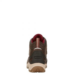 Ariat Women's Telluride II H2O, Dark Brown