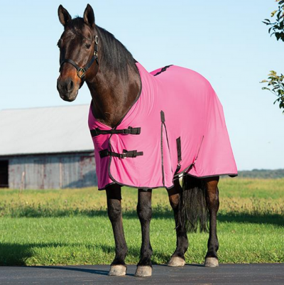CoolAid Equine Cooling Blanket kuivatus/viilennysloimi