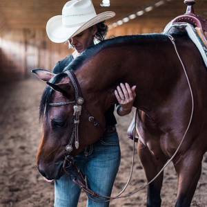 Ohjat Weaver Western Dressage Stacy Westfall