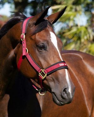Riimu Back on Track Werano