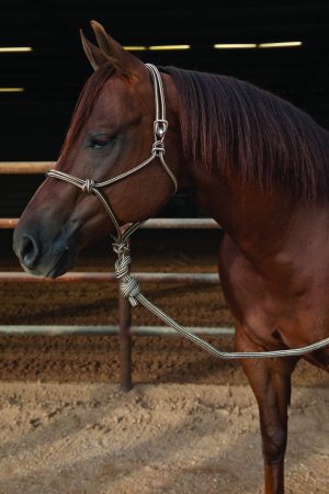 Professional's Choice Easy On Rope halter naruriimusetti