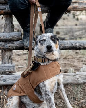 Carhartt koiran takki Dog Chore Coat