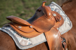 Mattes Rio Pecos Square Pad with Correction System Retro