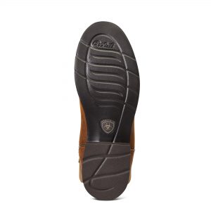 Ariat Women's Delilah Round Toe H2O Western Boot