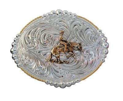 Vyönsolki Reining Horse