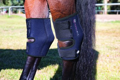 Professional's Choice Theramic Hock Boot kinnersuojat