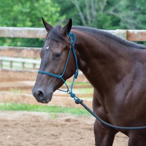 Naruriimu Weaver Silvertip Transition Rope Halter w/Sliding Ring