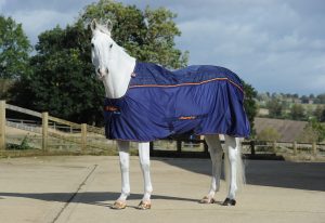 Bucas Therapy Cooler