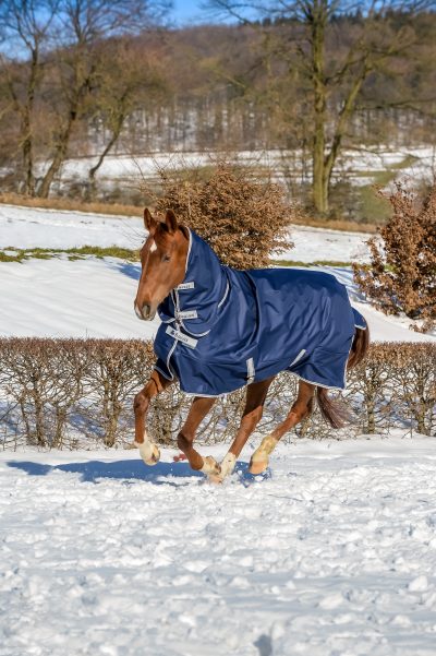 Bucas Freedom Turnout Light Full Neck ulkoloimi kaulakappaleella