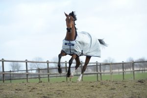 Bucas Power Turnout Medium ulkoloimi