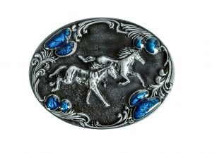 Vyönsolki Horses