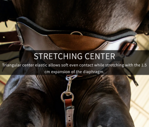 Total Saddle Fit StretchTec Shoulder Relief Cinch satulavyö