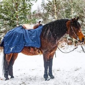 All That Western Riding Rug Fillinic ratsastusloimi