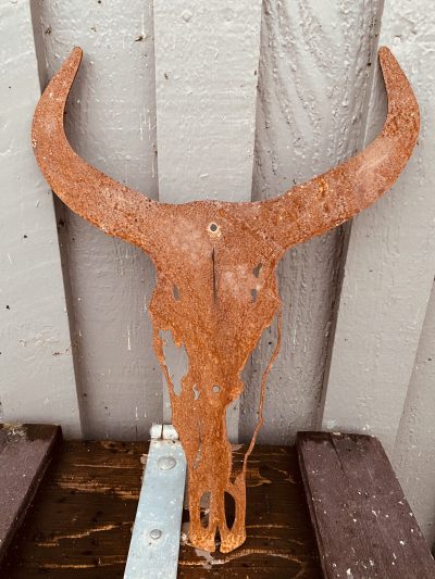 All That Western Longhorn Rusty