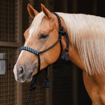 Professional's Choice Cowboy Braided Rope Halter naruriimusetti