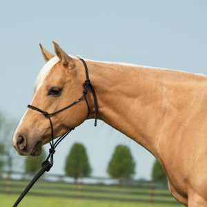 Naruriimu Weaver Silvertip Big Sky Rope Halter