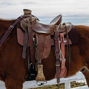 Weaver Synergy Contoured Steam Pressed 100% Merino Wool Felt Saddle Pad 1"