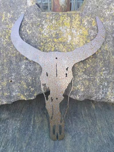 All That Western Longhorn Corten