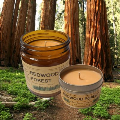 Soijavahakynttilä Redwood Forest