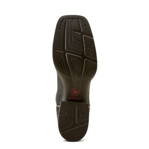 Ariat Women’s Buckley Western Boot