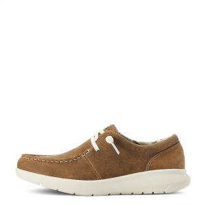Ariat Women's Hilo, brown bomber
