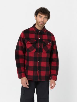 Dickies Portland Shirt paitatakki