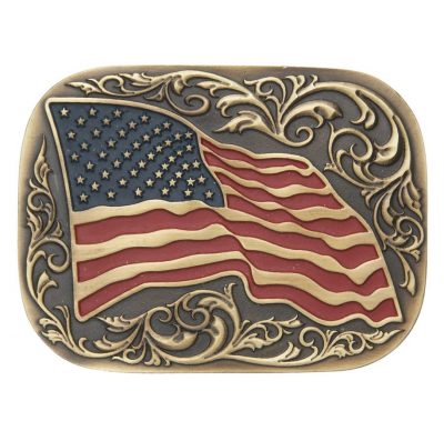 Vyönsolki Waving American Flag