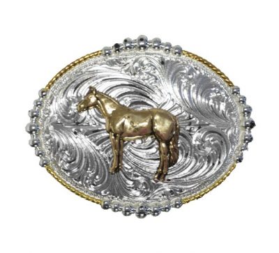 Vyönsolki Quarter Horse