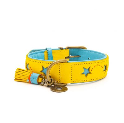 DWAM Koiran kaulapanta Blue Star