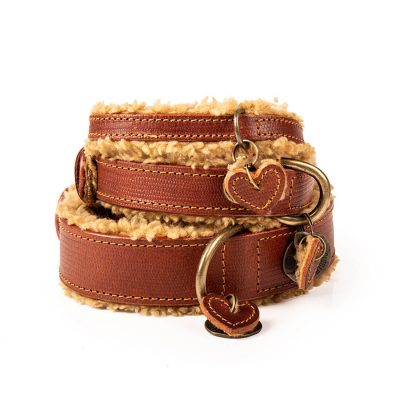 DWAM Koiran kaulapanta Teddy