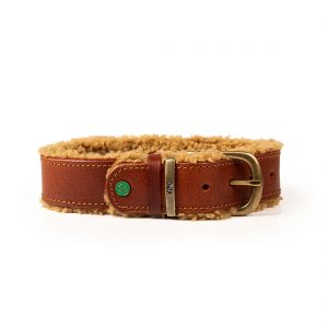 DWAM Koiran kaulapanta Teddy