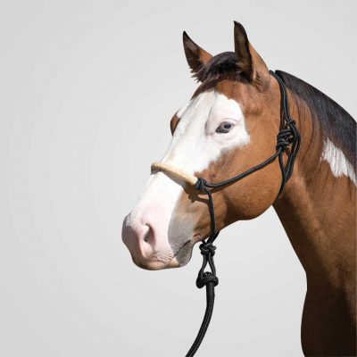 Naruriimu & köysisetti Lami-Cell Phoenix Rope halter with lead 3 m