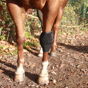 Lami-Cell polvisuoja Knee boot