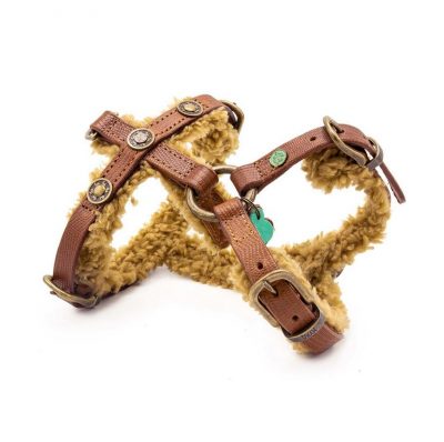 DWAM koiran valjaat Teddy Dog Harness